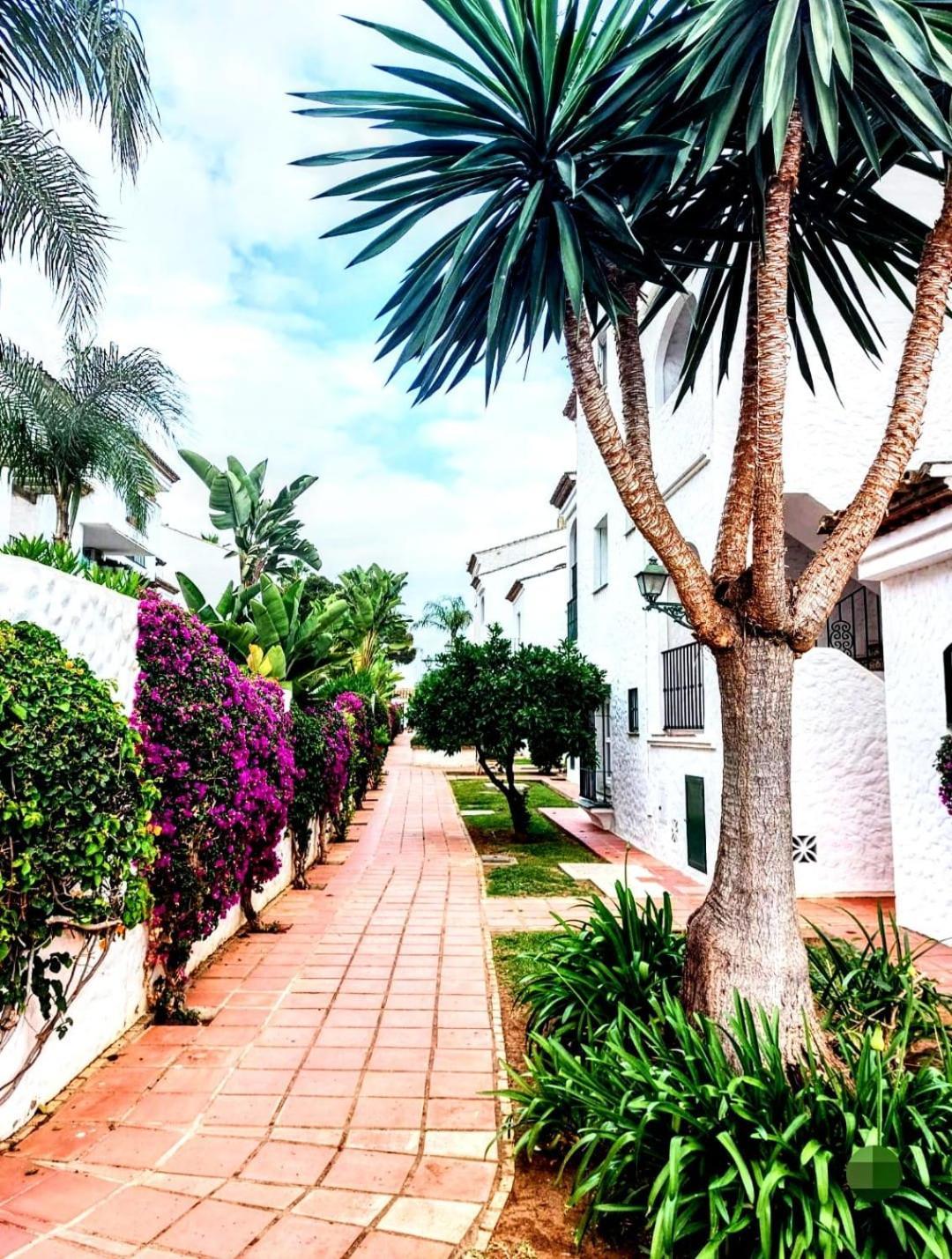 Paraiso Y Mar Apartman Estepona Kültér fotó